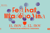 Festival mladého vína 2022 BKIS (1)