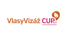 vlasyvizaz logo